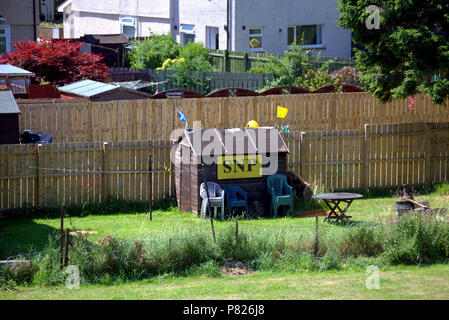 suburban shed in garden political SNP scottish national party  saltire flag amd lion rampant politics backyard Stock Photo