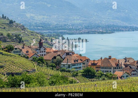 View on a little winery village called Rivaz, in the beautiful Lavaux winery area in Switzerland Stock Photo