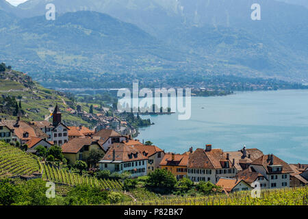 View on a little winery village called Rivaz, in the beautiful Lavaux winery area in Switzerland Stock Photo