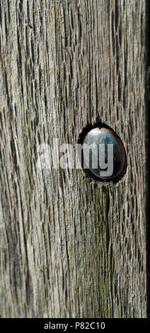 A close up of a metal bolt in the side of a wooden fence post Stock Photo