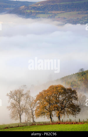 Mist in the Usk Valley in the Brecon Beacons National Park. Stock Photo