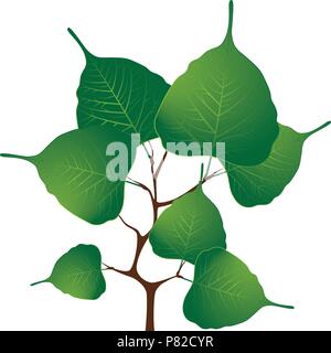 Branch with green leaves, vector illustration Stock Vector