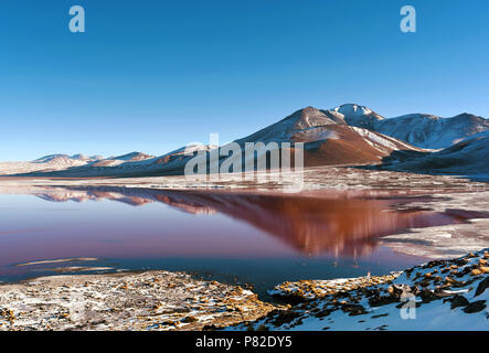 Laguna Colorada (Red Lagoon) shallow salt lake in the southwest of Bolivia, within Eduardo Avaroa Andean Fauna National Reserve. Stock Photo