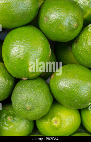 fresh green lime abstract fruit colorful pattern texture background Stock Photo