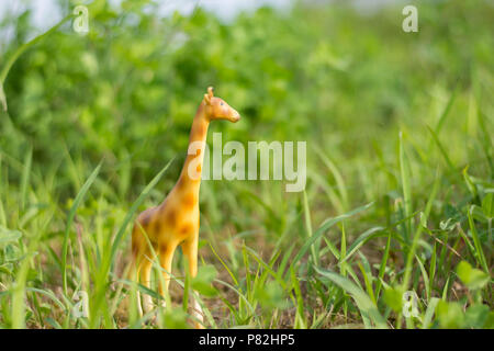 Miniature giraffe figurine in grass like a mini safari. Stock Photo