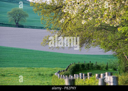 Gulperberg, Limburgs landschap, Netherlands Stock Photo