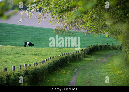 Gulperberg, Limburgs landschap, Netherlands Stock Photo