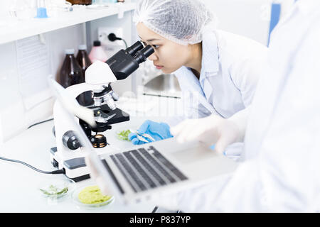 Asian Scientist Using Microscope Stock Photo