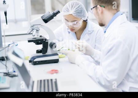 Team of Scientists Working in Laboratory Stock Photo