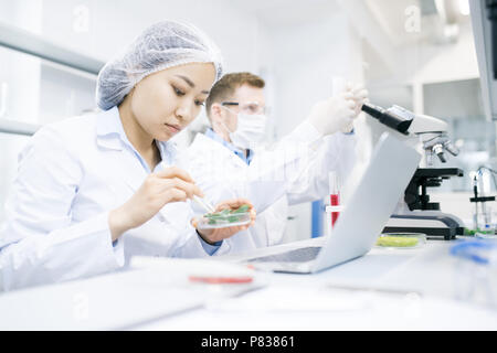 Modern Scientists Doing Research in Laboratory Stock Photo
