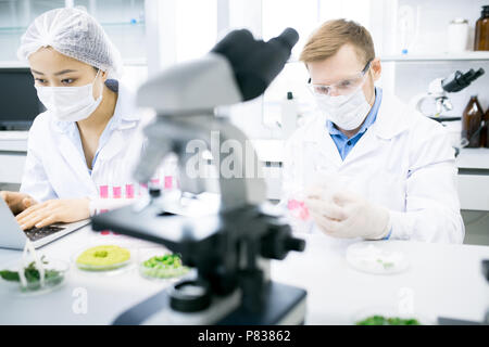 Two Scientists Doing Research in Lab Stock Photo