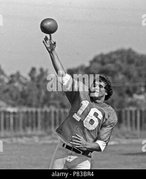 Oakland Raiders quarterback Jim Plunkett (16) prepares to throw the ball in  a game against the …