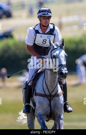Wiltshire, UK. 8th July, 2018. Andrew Nicholson riding Swallow Springs. NZL. Day 4. CIC***. Event Rider Masters. Section A. Cross Country. St James Barbury Horse Trials. Wroughton. Wilstshire. UK. 08/07/2018. Credit: Sport In Pictures/Alamy Live News