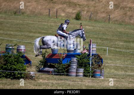 Wiltshire, UK. 8th July, 2018. Andrew Nicholson riding Swallow Springs. NZL. Day 4. CIC***. Event Rider Masters. Section A. Cross Country. St James Barbury Horse Trials. Wroughton. Wilstshire. UK. 08/07/2018. Credit: Sport In Pictures/Alamy Live News