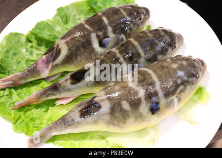 Guangzhou, Guangzhou, China. 9th July, 2018. Guangzhou, CHINA-Various seafood and sashimi can be seen at a hotpot restaurant in Guangzhou, south China's Guangdong Province. Credit: SIPA Asia/ZUMA Wire/Alamy Live News Stock Photo