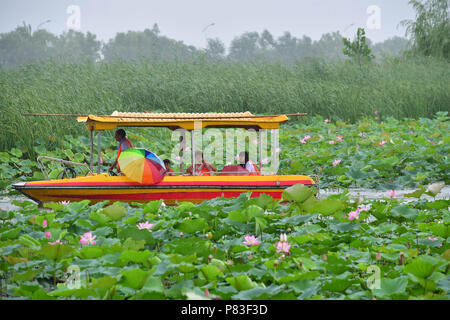Zhengzhou, China's Henan Province. 9th July, 2018. Tourists view lotus flowers by boat on the Longhu Lake in Huaiyang County, central China's Henan Province, July 9, 2018. Credit: Feng Dapeng/Xinhua/Alamy Live News Stock Photo