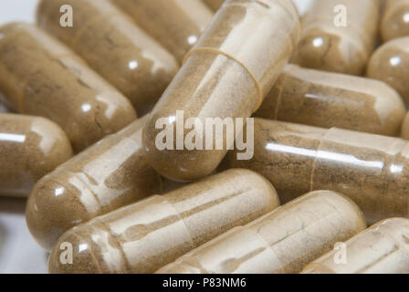 Kratom powder in homemade pill form, vegetable gelatin pills. Kratom is gaining popularity due to its' calming and pain relief properties. Stock Photo