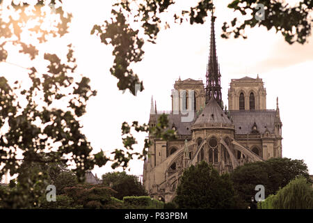 Looking through tree branches at Notre Dame Cathedrals roof and spire, Paris, France, Europe Stock Photo