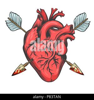 Human heart pierced by two arrows drawn in tattoo style isolated on white background. Vector Illustration. Stock Vector