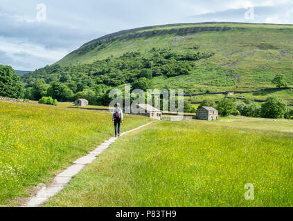 Walking through the wildflower meadows and field barns of upper Swaledale near Muker in the Yorkshire Dales UK Stock Photo