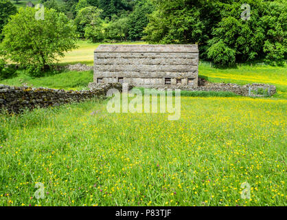 Flowery meadows and field barn near Muker in upper Swaledale in the Yorkshire Dales UK Stock Photo