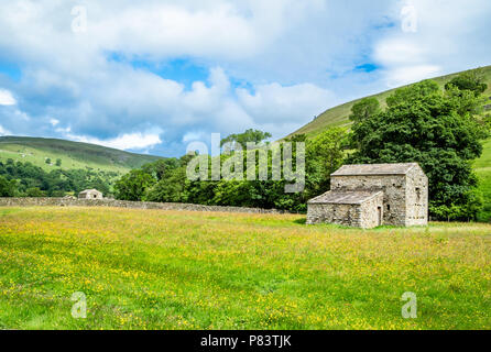 Flowery meadows and field barns near Muker in upper Swaledale in the Yorkshire Dales UK Stock Photo