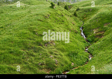 Small stream in the mountains of the Alps flows through a green meadow Stock Photo