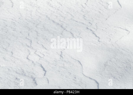Abstract snowy background, snowdrift texture with nice curved shadows Stock Photo