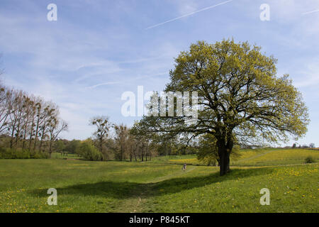 Geuldal, Limburgs landschap, Netherlands Stock Photo