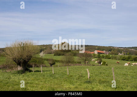 Geuldal, Limburgs landschap, Netherlands Stock Photo