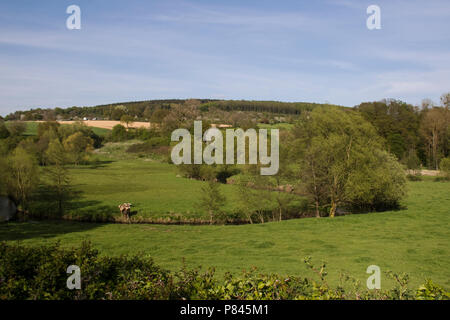 Geuldal, Limburgs landschap, Netherlands Stock Photo