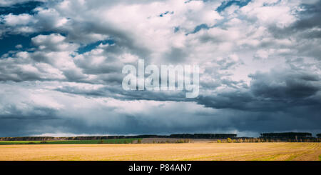 Countryside Rural Field Spring Meadow Landscape Under Scenic Dramatic Sky Before Rain. Rain Clouds On Horizon. Agricultural And Weather Forecast Conce Stock Photo