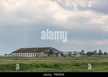 Ruined cowshed on the background of the evening cloudy sky Stock Photo