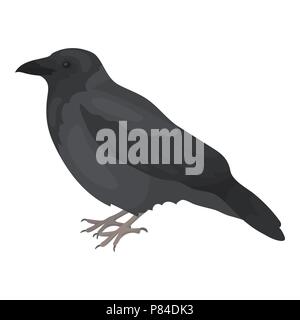Happy crow wearing a pink t-shirt, illustration, vector on white background  Stock Vector Image & Art - Alamy