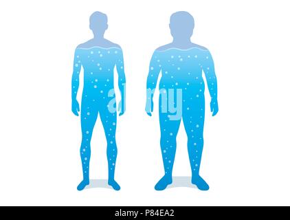 Water in difference body between shapely man and fat. Stock Vector