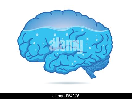 Water inside of the human brain isolated on white background. Stock Vector