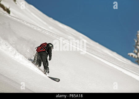 Snowboarding in fresh powder snow at Brighton Resort, Utah, USA Stock Photo