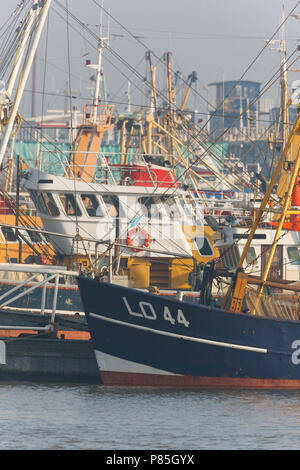 Vissersboten in de haven van Lauwersoog, Boats in Harbour Lauwersoog Stock Photo