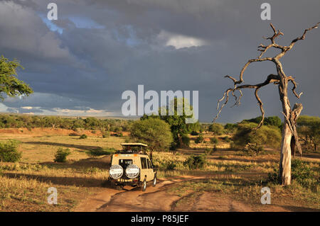 Safari in Tarangire National Park, Tanzania Stock Photo