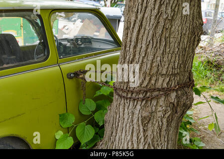 old green car locked with chain on a tree Stock Photo