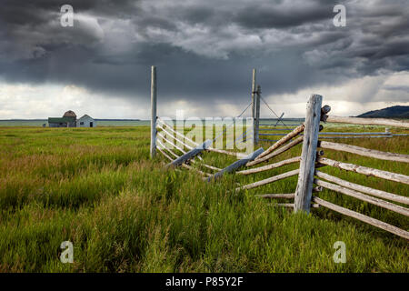 WY02774-00...WYOMING - Historic building in Grand Teton National Park along Mormon Road. Stock Photo