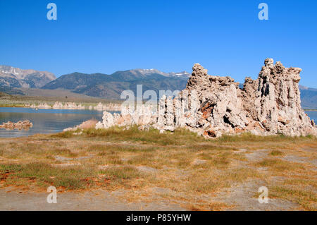 Mono Lake's most distinctive feature are the eerie tufa towers - mineral structures created by freshwater springs bubbling up through alkaline waters. Stock Photo