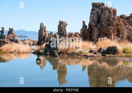 Mono Lake's most distinctive feature are the eerie tufa towers - mineral structures created by freshwater springs bubbling up through alkaline waters. Stock Photo