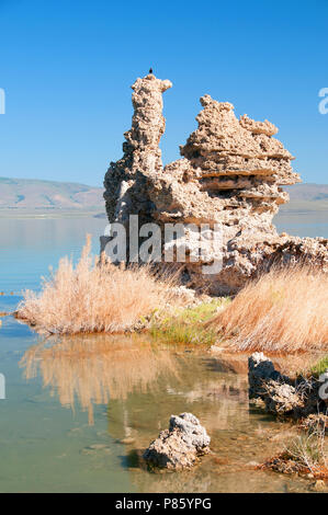 Mono Lake's most distinctive feature are the eerie tufa towers - mineral structures created by freshwater springs bubbling up through alkaline waters. Stock Photo