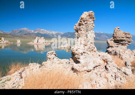 Mono Lake's most distinctive feature are the eerie tufa towers - mineral structures created by freshwater springs bubbling up through alkaline waters. Stock Photo