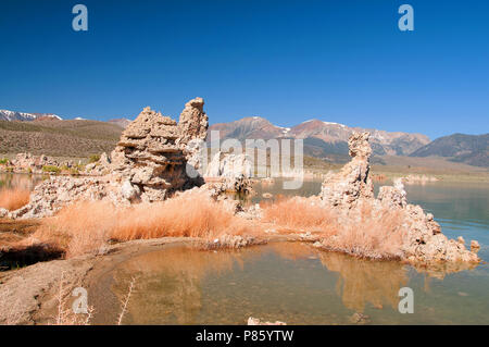 Mono Lake's most distinctive feature are the eerie tufa towers - mineral structures created by freshwater springs bubbling up through alkaline waters. Stock Photo