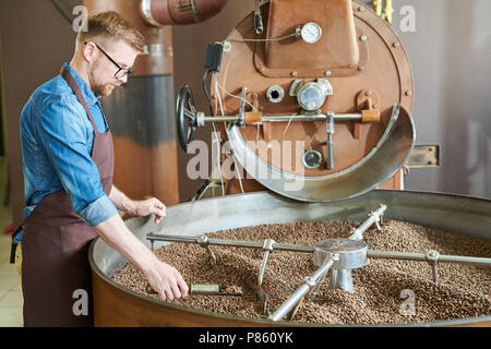 Side view portrait of modern young man wearing apron and glasses standing by roasting machine and checking coffee beans while working in artisan roast Stock Photo