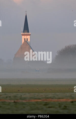 Kerkje van Den Hoorn op Texel in ochtendlicht Nederland, Church of Den Hoorn on Texel in morninglight Netherlands Stock Photo