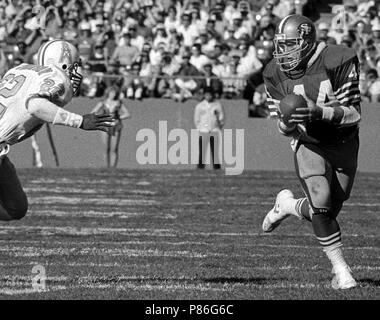 San Francisco, California, USA. 13th Dec, 1981. San Francisco 49ers vs. Houston  Oilers at Candlestick Park Sunday, December 13. 1981. 49ers beat Oilers  28-6. San Francisco 49ers Line Backer Jack ''hacksaw'' Reynolds (