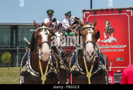 Davenport, Iowa, USA. 7th July, 2018. Scenes from 7G Distributing's Red, White and Brew open house featuring the Budweiser Clydesdales at their new distribution center in Davenport on Saturday, July 7, 2018. Credit: Andy Abeyta, Quad-City Times/Quad-City Times/ZUMA Wire/Alamy Live News Stock Photo